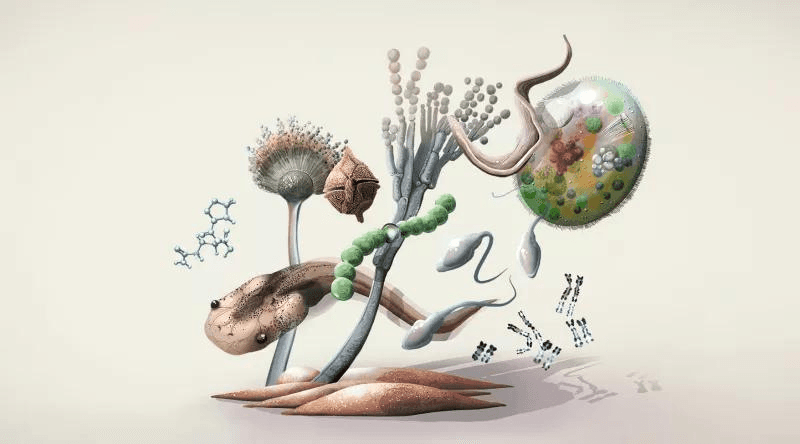 Ressources biologiques