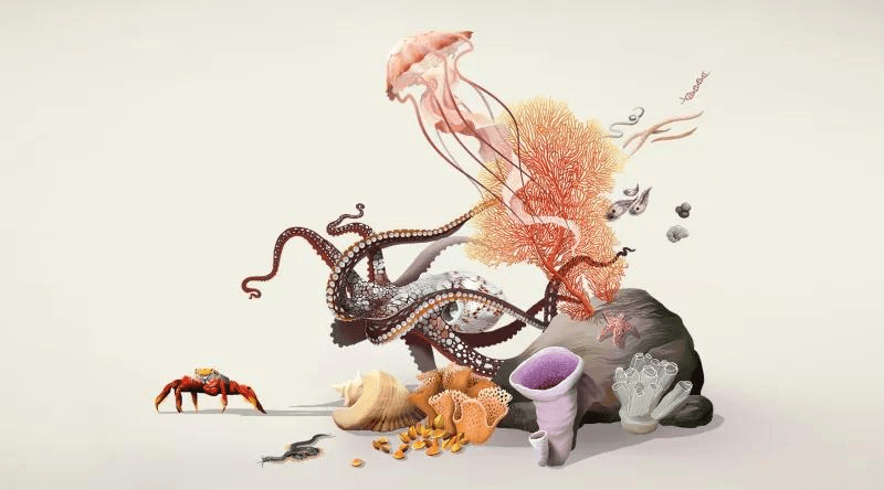 Invertébrés non Arthropodes terrestres